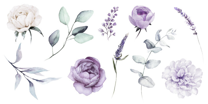 Watercolour floral illustration set. DIY violet purple blue flowers, green leaves elements collection - for bouquets, wreaths, wedding invitations, prints, fashion, birthday, postcards, greetings.