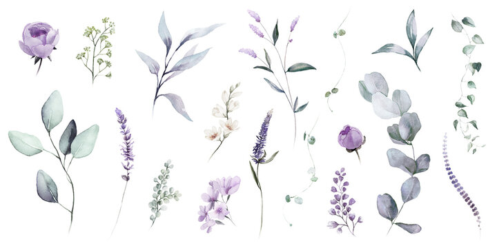 Watercolour floral illustration set. DIY violet purple blue flowers, green leaves elements collection - for bouquets, wreaths, wedding invitations, prints, fashion, birthday, postcards, greetings.
