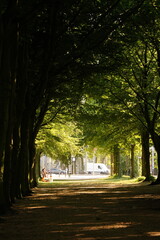 A beautiful scenery