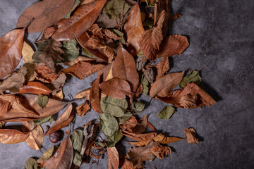 Nature's Artistry: Dry Autumn Leaves for Design
