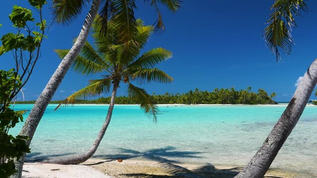 Une plage paradisiaque de Polyn&eacute;sie Fran&ccedil;aise