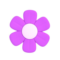 flower isolated on white