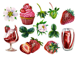 Strawberry set with berries, flowers and leaves. Watercolor illustration. Isolate. For design solutions for packaging
