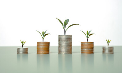 coin stack money saving concept. green leaf plant growth on rows of coins. financial concepts financial investment business stock growth, Savings money, income, Financial Management for the Future