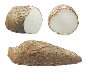 Yucca cassava roots, isolated on white