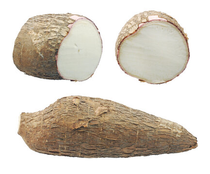 Yucca cassava roots, isolated on white