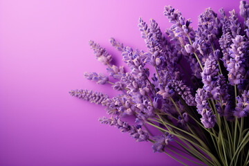 A lavender themed background with space for text