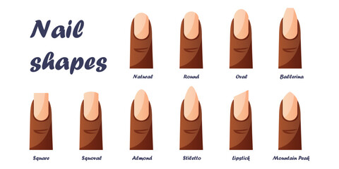 Set of nail shapes - oval, square, almond, stiletto, ballerina, squoval. Guide different forms, types of manicure nails. Professional salon trends, beauty and care. Classic instruction. Vector