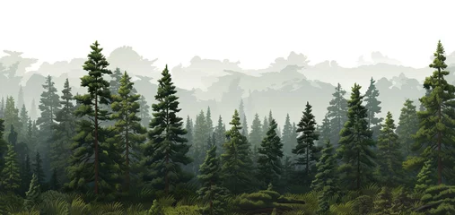 Fotobehang Mystical morning. Foggy forest adventure. Pine peaks and misty valleys. Serene wilderness. Emerging from mist. Sunrise in woodland background © Wuttichai