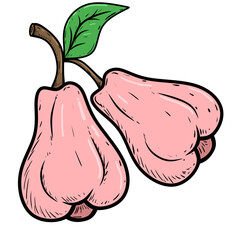 Water apple cartoon illustration