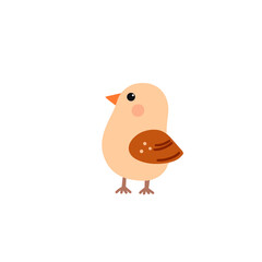 Cute bird, illustration 