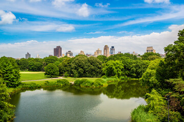 Fototapeta premium Central Park in New York