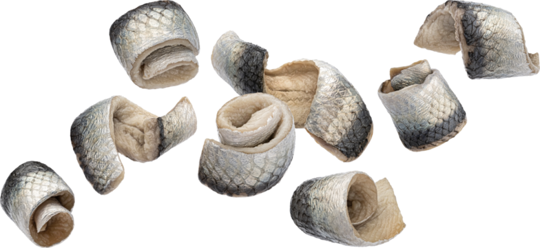 Salted herring rolls isolated