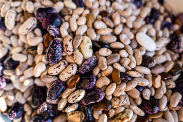 Dried bean mix. An assortment of dried beans close-up. A variety of protein-rich, colorful raw dried beans. Close-up, selective focus