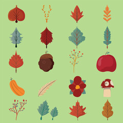 Autumn leaves collection. Leaves and isolated bundle of cute and cozy design, Set of leaf fall elements for harvest festival thanksgiving, and autumnal holidays design elements