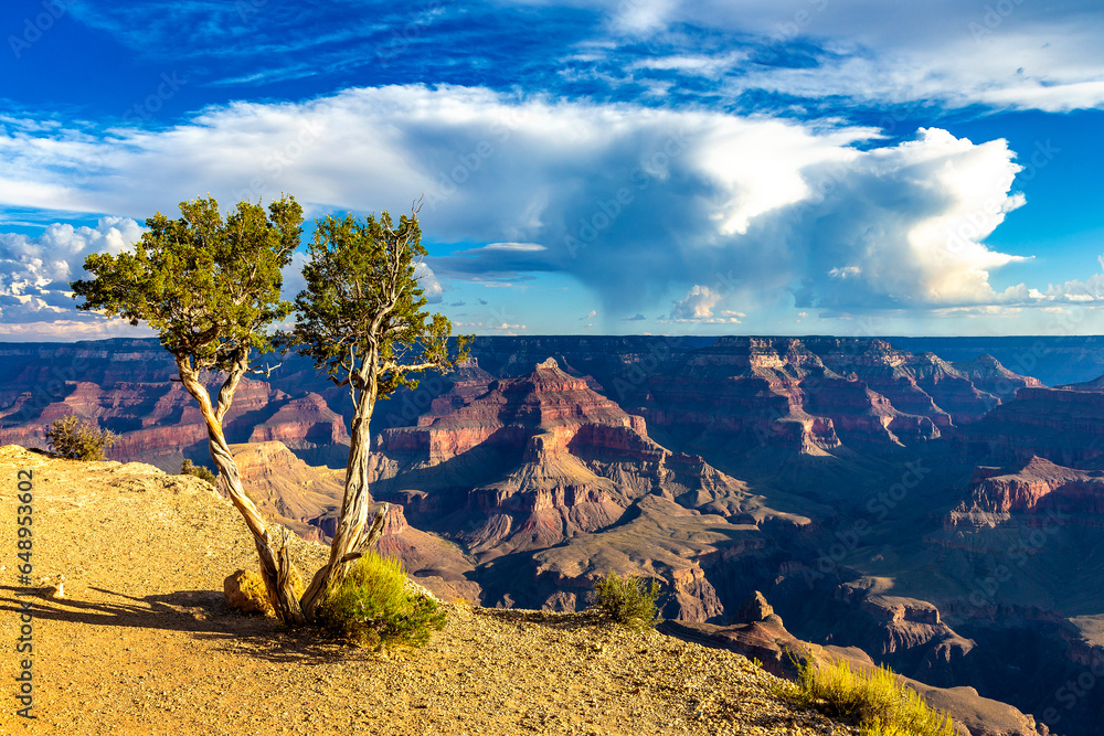 Canvas Prints grand canyon national park at sunset