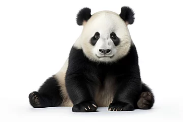 Zelfklevend Fotobehang Giant panda isolated on a white background © Veniamin Kraskov