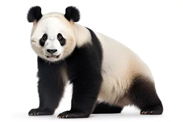 Deurstickers Giant panda isolated on a white background © Veniamin Kraskov