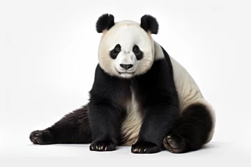Fotobehang Giant panda isolated on a white background © Veniamin Kraskov