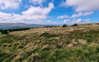 Beautiful meadows on the Karkonosze hills