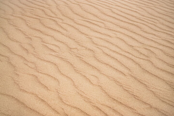 Sand dunes in the Senek desert in the Kazakh desert, desert sand texture for background