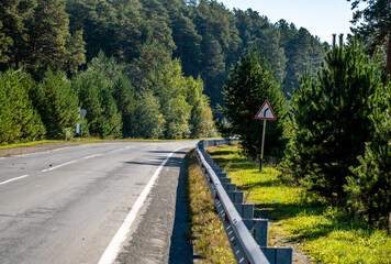 An asphalt highway passing through the forest on a summer day.