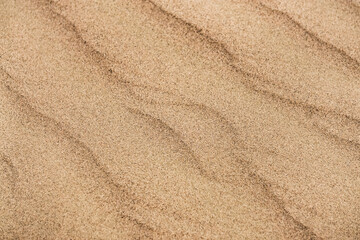 Fototapeta na wymiar Sand dunes in the Senek desert in the Kazakh desert, desert sand texture for background