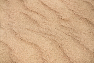 Fototapeta na wymiar Sand dunes in the Senek desert in the Kazakh desert, desert sand texture for background