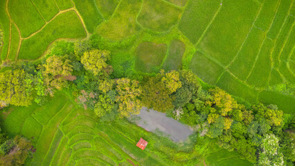 Rice terraces field and Small village in Chiang Mai, Thailand