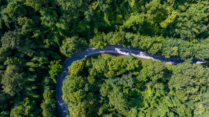 Aerial top view of road in forest.Winding road through the forest.Ecosystem ecology healthy environment road trip. Forest ecosystem and health concept and background, texture of green forest.
