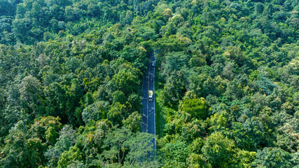 Obraz premium Aerial top view road in forest with car motion blur. Winding road through the forest. Car drive on the road between green forest. Ecosystem ecology healthy environment road trip.
