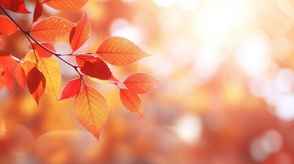 Autumn branch with blurred background and Copy Space. Light and Soft bokeh. Generative AI