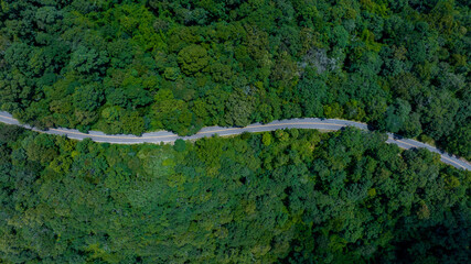 Aerial top view of road in forest.Winding road through the forest.Ecosystem ecology healthy environment road trip. Forest ecosystem and health concept and background, texture of green forest.