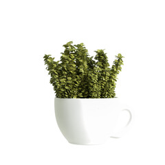 3d illustration of potted plant in interior space, isolated on transparent background