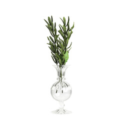 3d illustration of flower vase decoration in interior space, isolated on transparent background