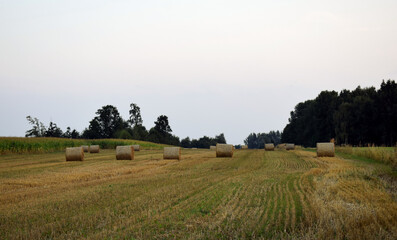 sunset in a field overlooking large rolls of straw