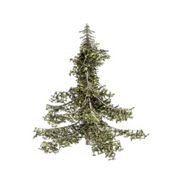 3d illustration of pine tree isolated on transparent background