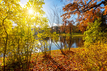 Autumn foliage in Catherine park, Pushkin (Tsarskoe Selo), Saint Petersburg, Russia