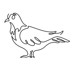 Vector continuous one line pigeon illustration