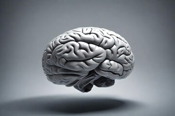 3d rendering Human brain floating on a gray background.
