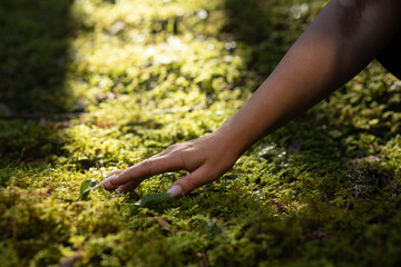 Closeness to nature. Woman's hand and moss