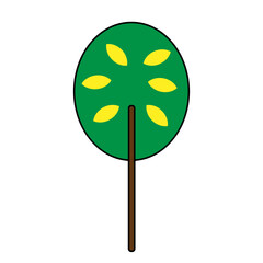 Colored vector illustration of a green deciduous birch tree with yellow leaves in autumn isolated on a white background