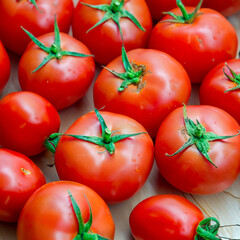 tomatoes on a white background