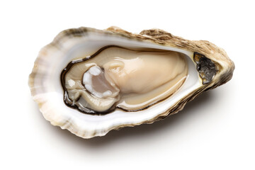 Freshly opened oyster isolated on white background, top view. Sea shell concept.generative ai
