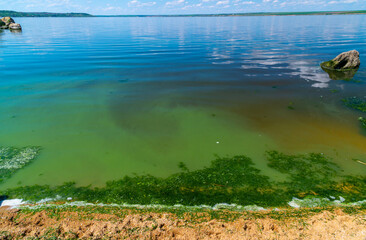 Eutrophication of the Khadzhibey estuary, blooms in the water of the blue-green algae Microcystis aeruginosa