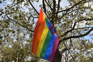 Regenbogenflagge vor einem Baum
