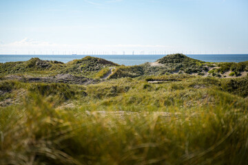 Dänische Landschaft an der Nordseeküste