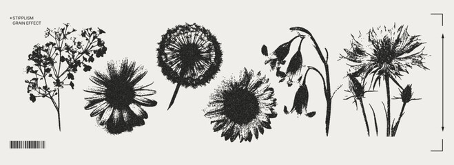 Fototapeta premium Trendy elements with a retro photocopy effect. y2k elements for design. Flowers, chamomile, sunflower, dandelion. Grain effect and stippling. Vector dots texture.