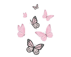 watercolor pink butterfly on white background butterflies silhouettes	