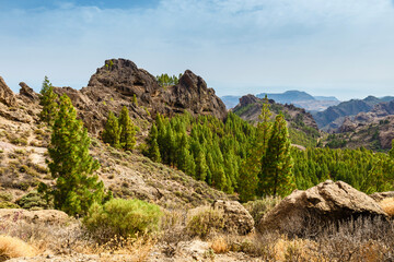 beautiful landscape of the volcanic island of gran canaria - 649017204
